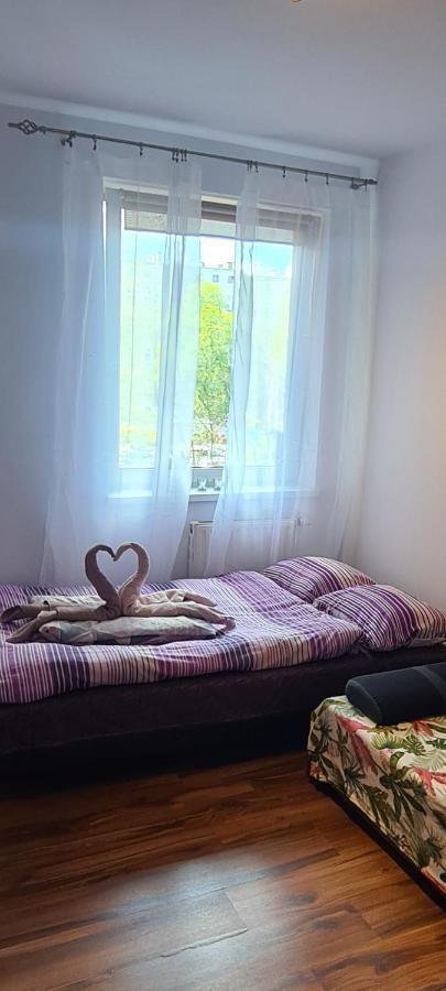Sweet Home & Sweet Cats & Fast Internet Βρότσλαβ Εξωτερικό φωτογραφία